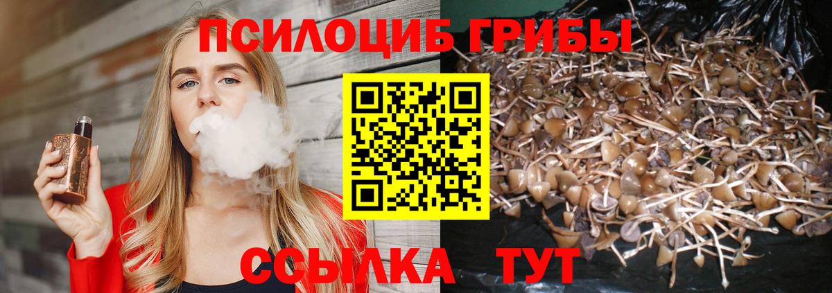 Псилоцибиновые грибы прущие грибы Заволжье