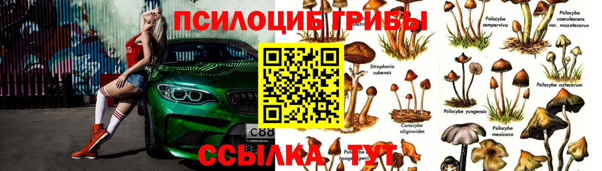 Галлюциногенные грибы ЛСД  Галлюциногенные грибы прущие грибы  Заволжье  как найти наркотики  Вход с VPN 